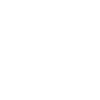 Crocodile Alligator
