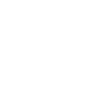 Crocodile Alligator