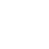 Crocodile Alligator