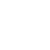 Viking Ship