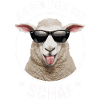 Moutons Berger Berger Fermier
