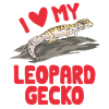Leopardgecko Reptil Haustier Gecko