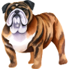 Bulldog Dog Lover Animal
