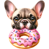 Mignon Beignet Bouledogue Français
