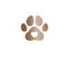 Afghan Hound Gifts