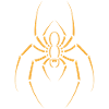 spider
