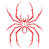 Spinne