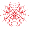 spider