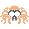 Spinne