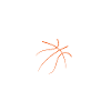 Herzschlag Basketball