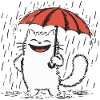 Happy cat Under Rain
