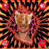 Nolipcat