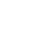 airboat american flag