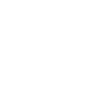 airboat american flag