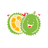Thai Durian Fruit