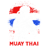 Muay Thai Boxing
