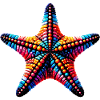 Starfish