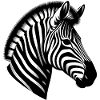 Zèbre