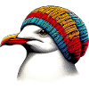 Mouette