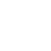 Möwe