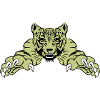 tiger attack
