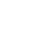 Freedom 1999