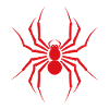 spider