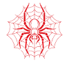 spider