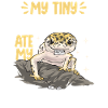 Leopard Gecko Reptile Pet Gecko