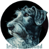 Irish Wolfhound Hund Dog
