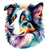 Border Collie Aquarelles