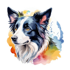 Border Collie Aquarelles