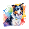 Border Collie Aquarelles