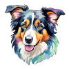Border Collie Aquarelles