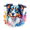 Border Collie Aquarelles