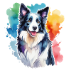 Border Collie Aquarelles