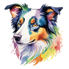 Border Collie Aquarelles