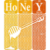 Honey Periodic Table Elements Retro
