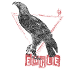 Trash Polka Drawing Wild Polka