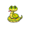 Hauska käärme Herpetologi Pet Reptile Phyton