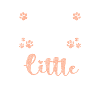 Dog Four-legged Dog Owner Lover