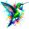 Colibri