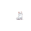 Cat heartbeat