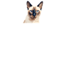 Don't leave me like mine