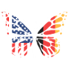 American German