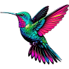 Hummingbird