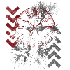 Trash Polka Hard Skull
