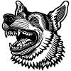 Schäferhund Hund Hundekopf