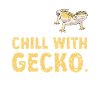 Leopard Gecko Reptile Pet Gecko