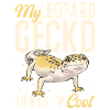 Leopard Gecko Reptile Pet Gecko